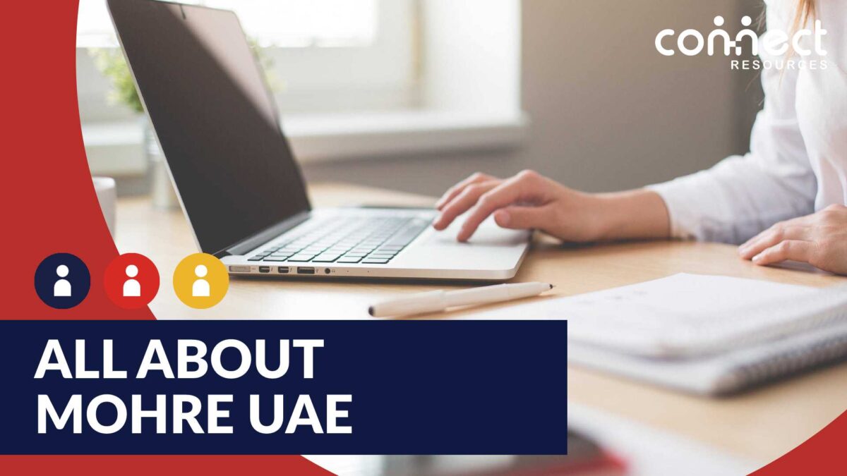 MOHRE Enquiry Services In UAE 2024: Perfect Guide About MOHRE
