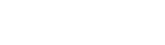logo Dubai Custom