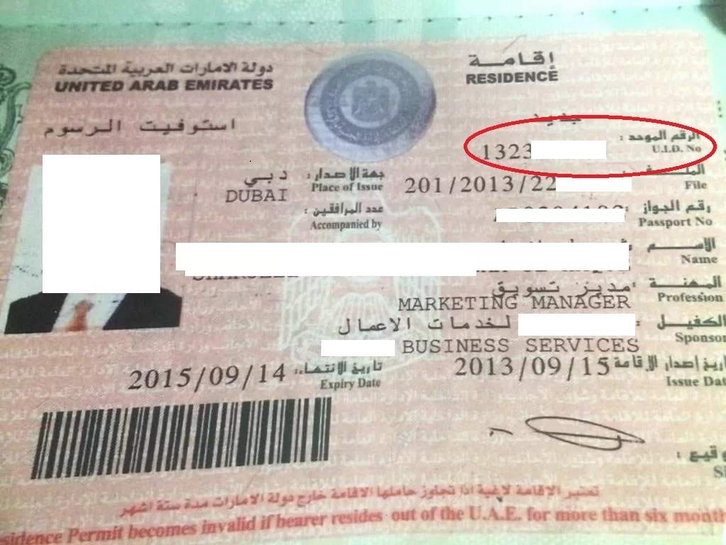 unified id uid number uae