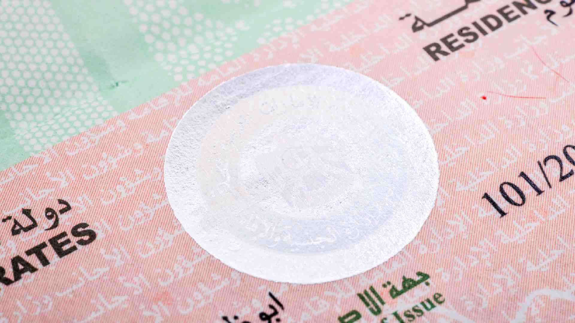 visa number uae