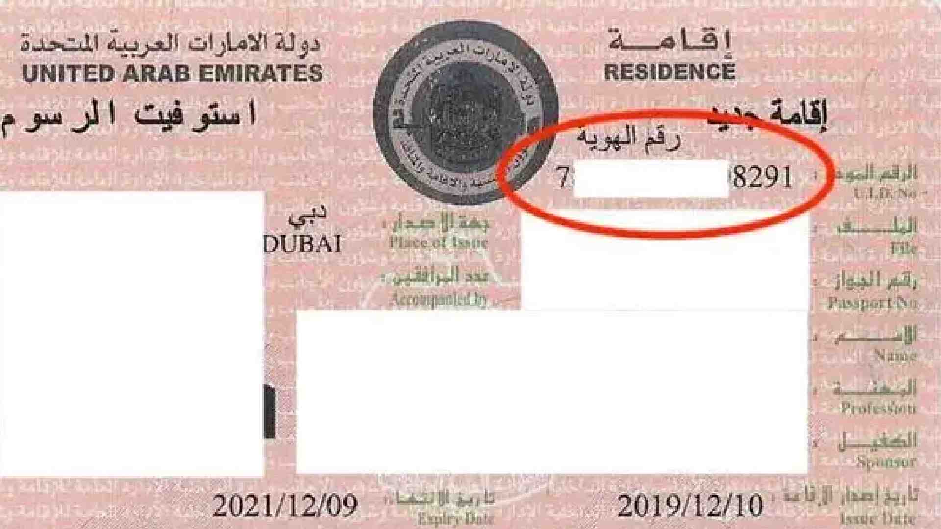 visa number uae